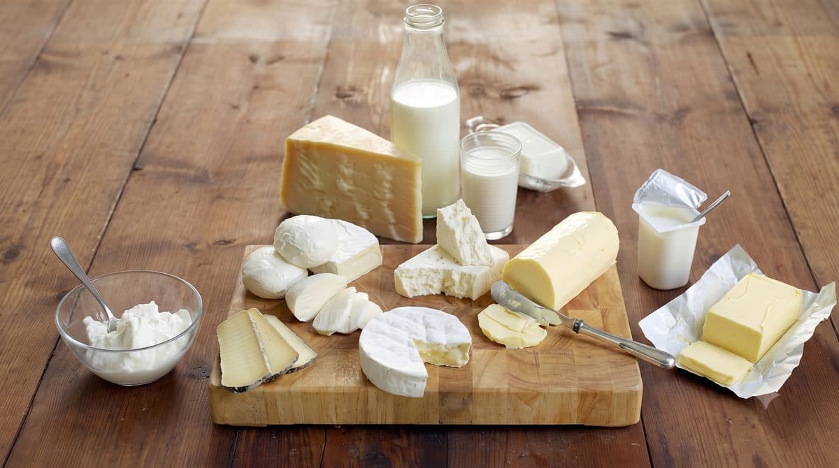 Dairy