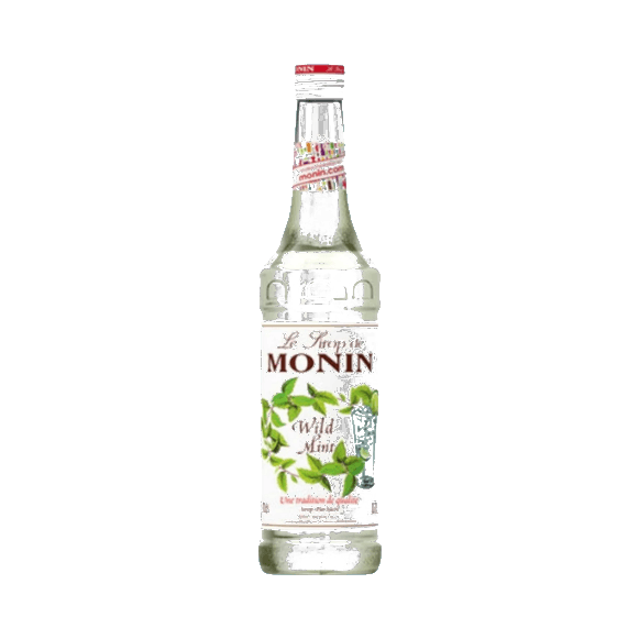 Wild Mint